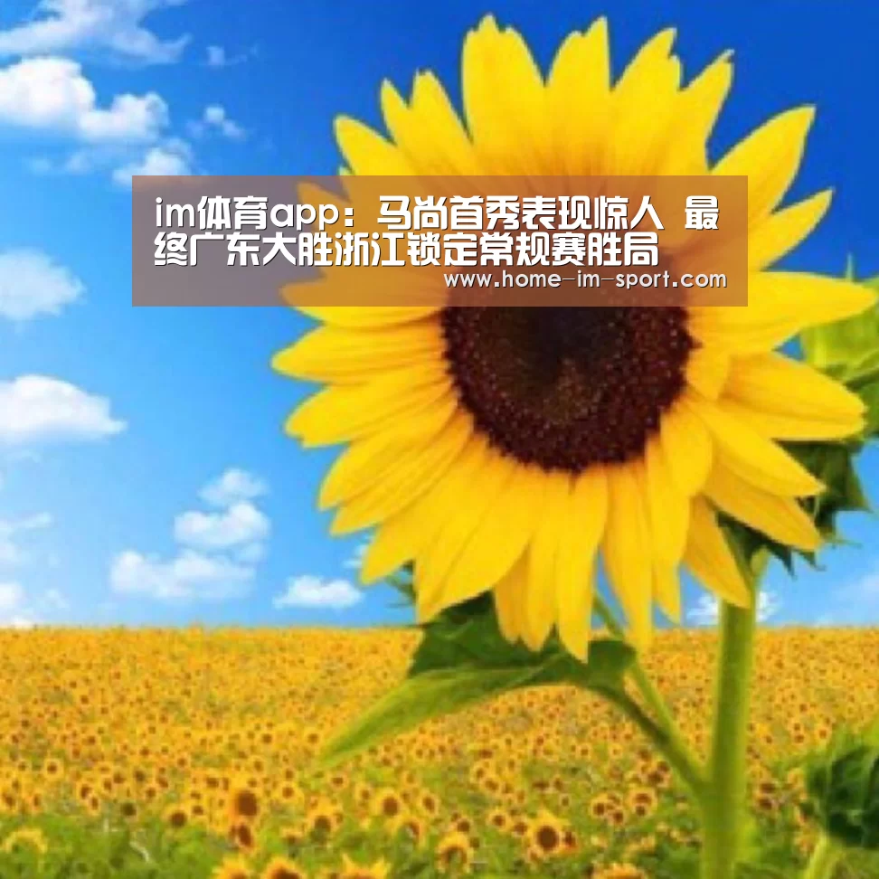 im体育app