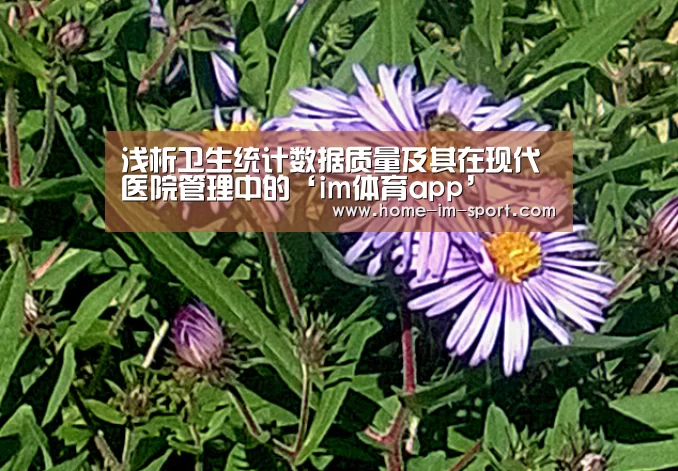 浅析卫生统计数据质量及其在现代医院管理中的‘im体育app’(图2) im体育