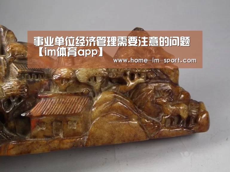 事业单位经济管理需要注意的问题【im体育app】