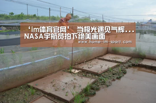 ‘im体育官网’
当极光遇见气辉...NASA宇航员拍下绝美画面