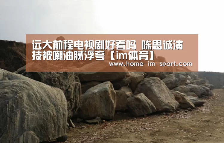 远大前程电视剧好看吗 陈思诚演技被嘲油腻浮夸【im体育】(图2) im体育app