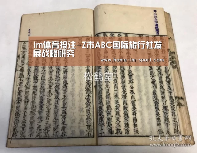 im体育投注-Z市ABC国际旅行社发展战略研究(图3) im体育