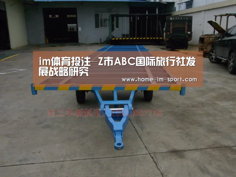 im体育投注-Z市ABC国际旅行社发展战略研究(图2) im体育app