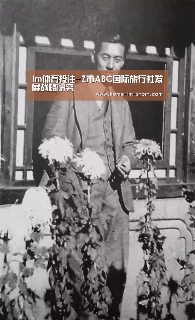 im体育投注-Z市ABC国际旅行社发展战略研究