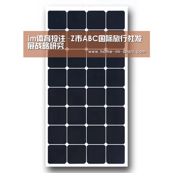 im体育投注-Z市ABC国际旅行社发展战略研究(图4) im体育app