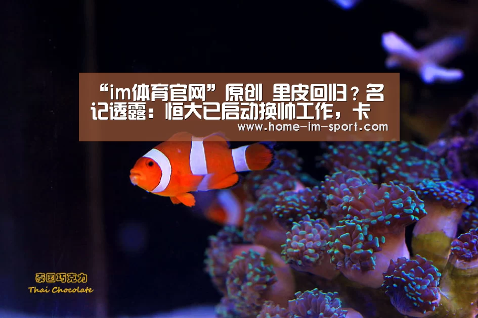 im体育投注