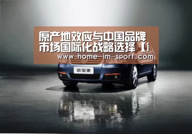 原产地效应与中国品牌市场国际化战略选择【im体育app】(图3) im体育app