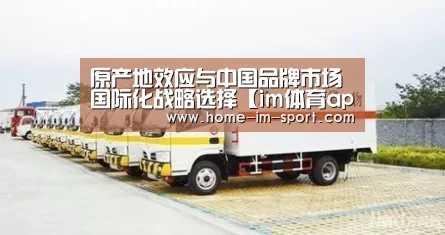 原产地效应与中国品牌市场国际化战略选择【im体育app】(图2) im体育官网