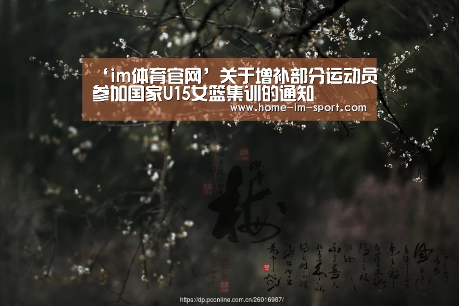 im体育官网