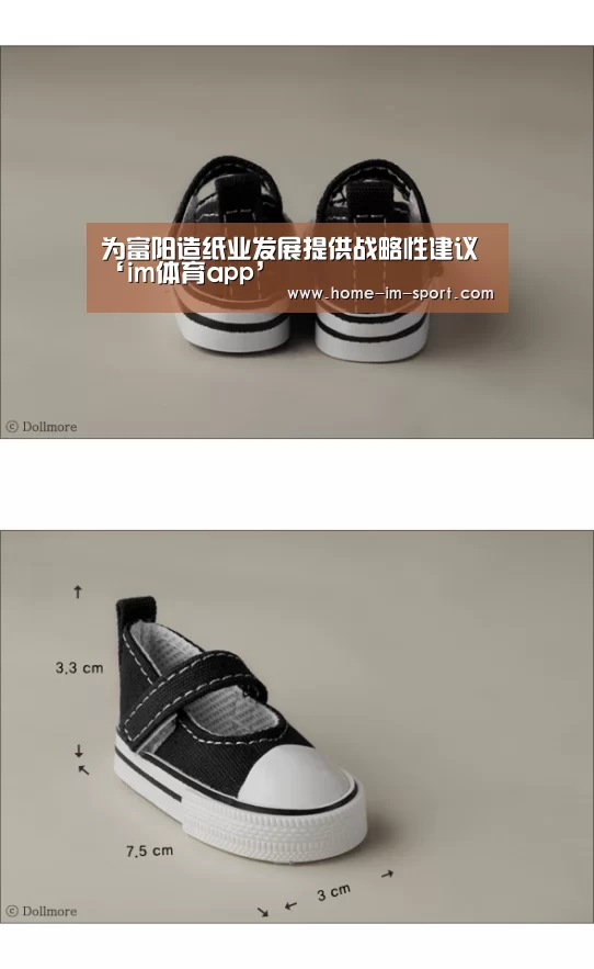 为富阳造纸业发展提供战略性建议‘im体育app’