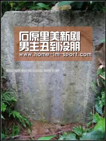 im体育