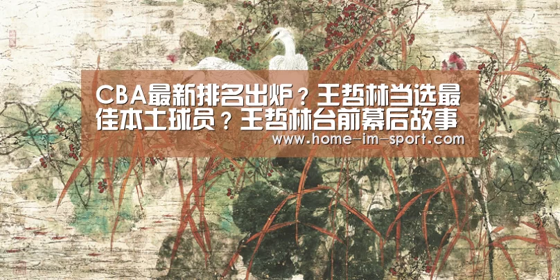 im体育官网