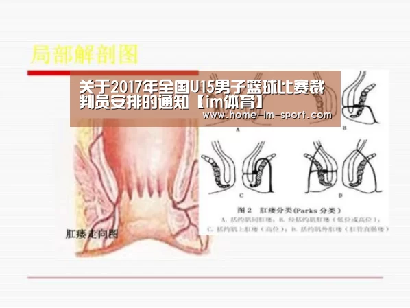 关于2017年全国U15男子篮球比赛裁判员安排的通知【im体育】
