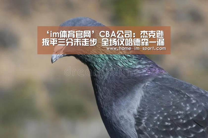 ‘im体育官网’CBA公司:杰克逊扳平三分未走步 全场仅哈德森一漏判(图4) im体育